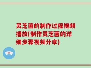灵芝菌的制作过程视频播放(制作灵芝菌的详细步骤视频分享)