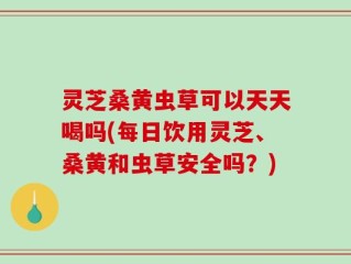 灵芝桑黄虫草可以天天喝吗(每日饮用灵芝、桑黄和虫草安全吗？)