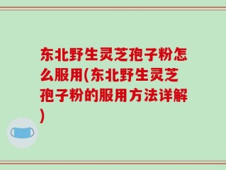 东北野生灵芝孢子粉怎么服用(东北野生灵芝孢子粉的服用方法详解)