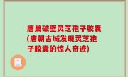 唐巢破壁灵芝孢子胶囊(唐朝古城发现灵芝孢子胶囊的惊人奇迹)