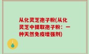 从化灵芝孢子粉(从化灵芝中提取孢子粉：一种天然免疫增强剂)