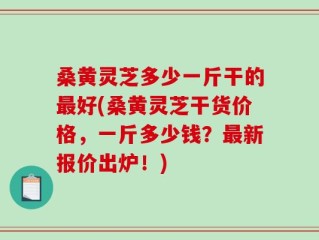 桑黄灵芝多少一斤干的最好(桑黄灵芝干货价格，一斤多少钱？最新报价出炉！)