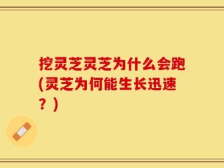 挖灵芝灵芝为什么会跑(灵芝为何能生长迅速？)
