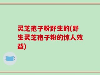 灵芝孢子粉野生的(野生灵芝孢子粉的惊人效益)