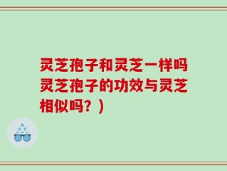 灵芝孢子和灵芝一样吗灵芝孢子的功效与灵芝相似吗？)