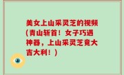美女上山采灵芝的视频(青山斩首！女子巧遇神器，上山采灵芝竟大吉大利！)