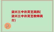 资兴三中许灵芝简历(资兴三中许灵芝教师简介)