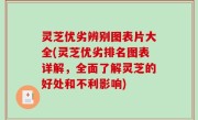 灵芝优劣辨别图表片大全(灵芝优劣排名图表详解，全面了解灵芝的好处和不利影响)