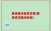 黑茶西洋参灵芝茶(黑茶灵芝西洋参茶)