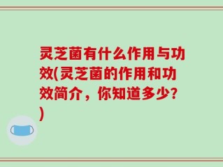 灵芝菌有什么作用与功效(灵芝菌的作用和功效简介，你知道多少？)