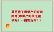 灵芝孢子哪里产的好呢图片(哪里产的灵芝孢子好？一图告诉你！)