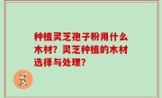 种植灵芝孢子粉用什么木材？灵芝种植的木材选择与处理？