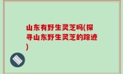 山东有野生灵芝吗(探寻山东野生灵芝的踪迹)