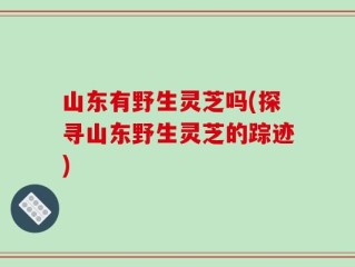 山东有野生灵芝吗(探寻山东野生灵芝的踪迹)
