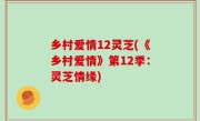 乡村爱情12灵芝(《乡村爱情》第12季：灵芝情缘)