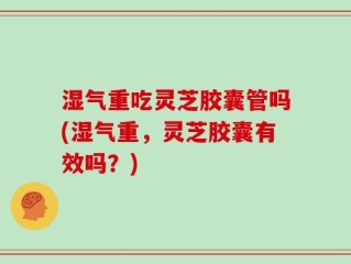 湿气重吃灵芝胶囊管吗(湿气重，灵芝胶囊有效吗？)