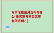 赤灵芝也是灵芝吗为什么(赤灵芝与常见灵芝有何区别？)