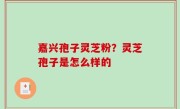 嘉兴孢子灵芝粉？灵芝孢子是怎么样的