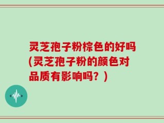 灵芝孢子粉棕色的好吗(灵芝孢子粉的颜色对品质有影响吗？)