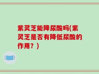 紫灵芝能降尿酸吗(紫灵芝是否有降低尿酸的作用？)