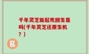 千年灵芝能起死回生是吗(千年灵芝还原生机？)