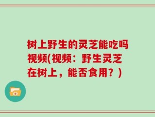 树上野生的灵芝能吃吗视频(视频：野生灵芝在树上，能否食用？)
