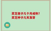 灵芝孢子几个月成熟？灵芝种子几天发芽