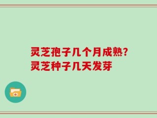 灵芝孢子几个月成熟？灵芝种子几天发芽