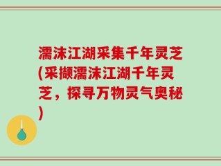 濡沫江湖采集千年灵芝(采撷濡沫江湖千年灵芝，探寻万物灵气奥秘)