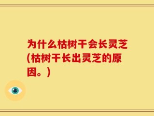 为什么枯树干会长灵芝(枯树干长出灵芝的原因。)