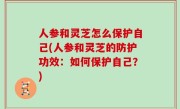 人参和灵芝怎么保护自己(人参和灵芝的防护功效：如何保护自己？)