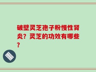 破壁灵芝孢子粉慢性肾炎？灵芝的功效有哪些？