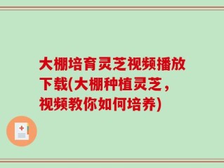 大棚培育灵芝视频播放下载(大棚种植灵芝，视频教你如何培养)