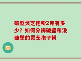 破壁灵芝孢粉2克有多少？如何分辨破壁和没破壁的灵芝孢子粉