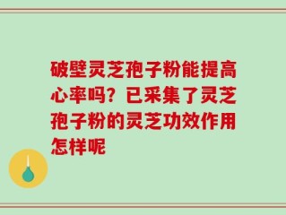 破壁灵芝孢子粉能提高心率吗？已采集了灵芝孢子粉的灵芝功效作用怎样呢
