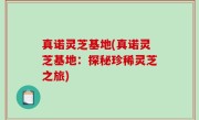真诺灵芝基地(真诺灵芝基地：探秘珍稀灵芝之旅)