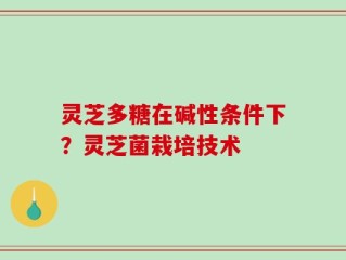 灵芝多糖在碱性条件下？灵芝菌栽培技术
