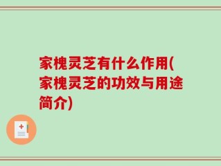 家槐灵芝有什么作用(家槐灵芝的功效与用途简介)