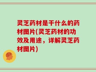 灵芝药材是干什么的药材图片(灵芝药材的功效及用途，详解灵芝药材图片)
