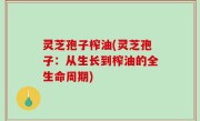 灵芝孢子榨油(灵芝孢子：从生长到榨油的全生命周期)