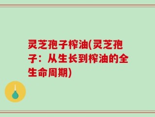 灵芝孢子榨油(灵芝孢子：从生长到榨油的全生命周期)