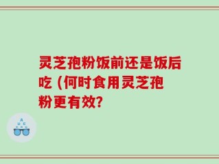 灵芝孢粉饭前还是饭后吃 (何时食用灵芝孢粉更有效？