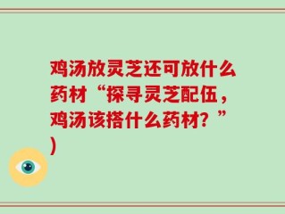 鸡汤放灵芝还可放什么药材“探寻灵芝配伍，鸡汤该搭什么药材？”)