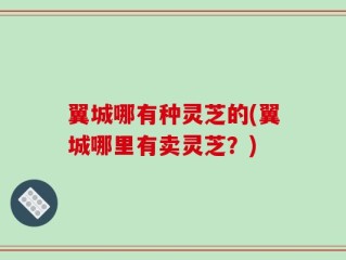 翼城哪有种灵芝的(翼城哪里有卖灵芝？)
