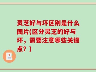 灵芝好与坏区别是什么图片(区分灵芝的好与坏，需要注意哪些关键点？)