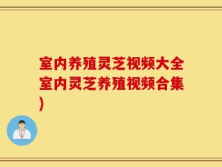 室内养殖灵芝视频大全室内灵芝养殖视频合集)