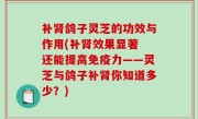 补肾鸽子灵芝的功效与作用(补肾效果显著 还能提高免疫力——灵芝与鸽子补肾你知道多少？)