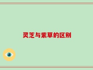 灵芝与紫草的区别