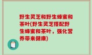 野生灵芝和野生蜂蜜和茶叶(野生灵芝搭配野生蜂蜜和茶叶，强化营养带来健康)