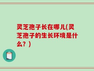 灵芝孢子长在哪儿(灵芝孢子的生长环境是什么？)